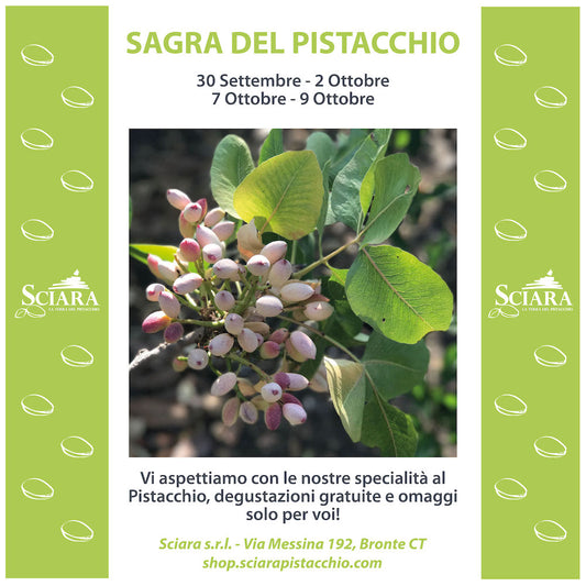 pistacchio di bronte - sciara pistacchio - sagra del pistacchio