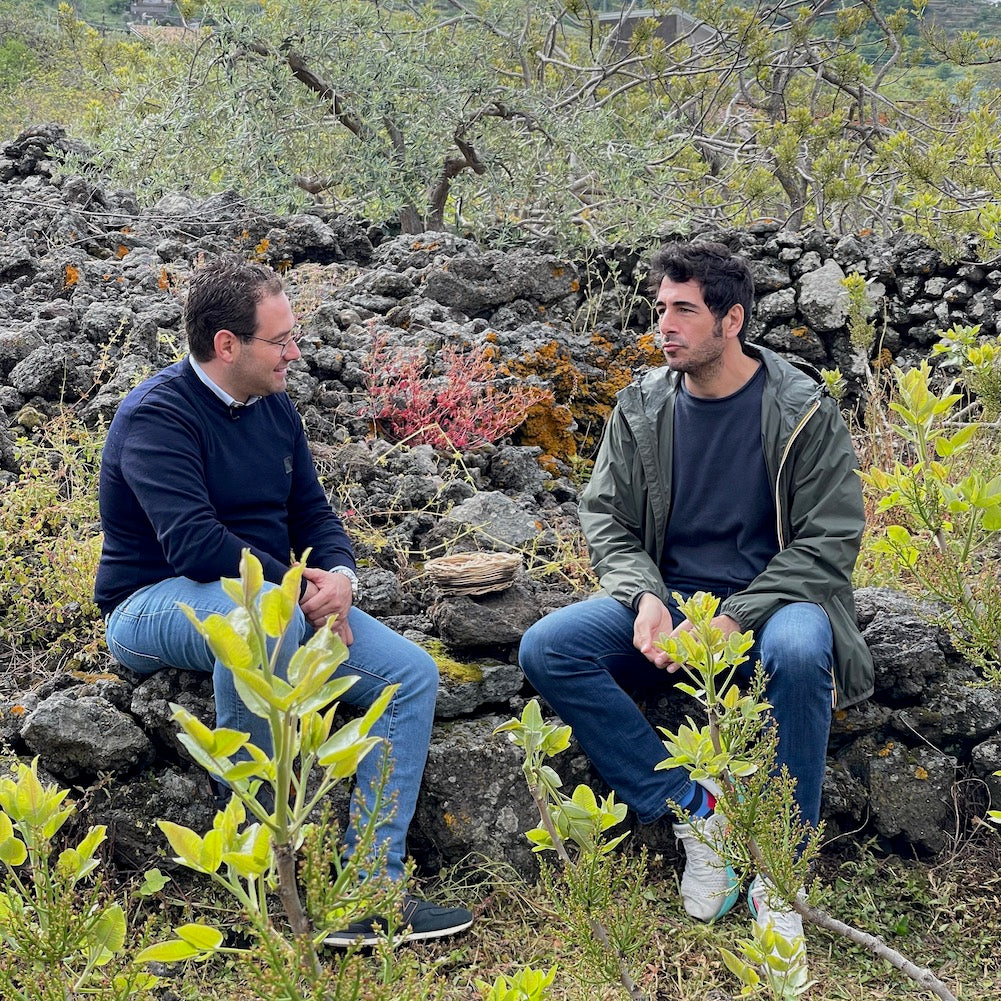 sciara pistacchio bronte - linea verde discovery