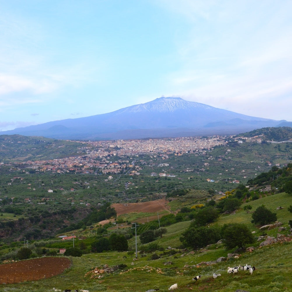 panorama bronte etna sciara pistacchio